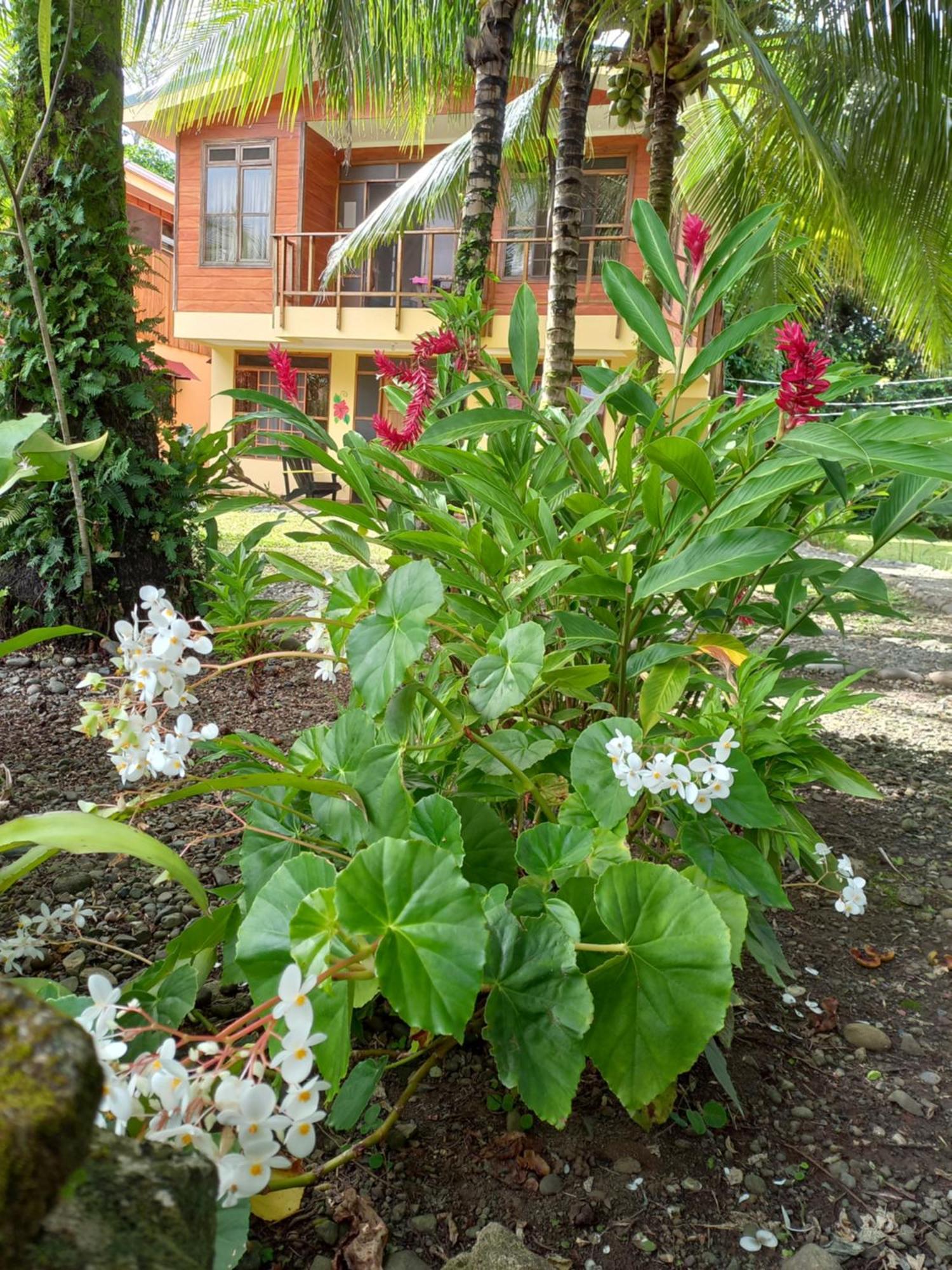 Babilonia Aparthotel Cahuita Exterior foto