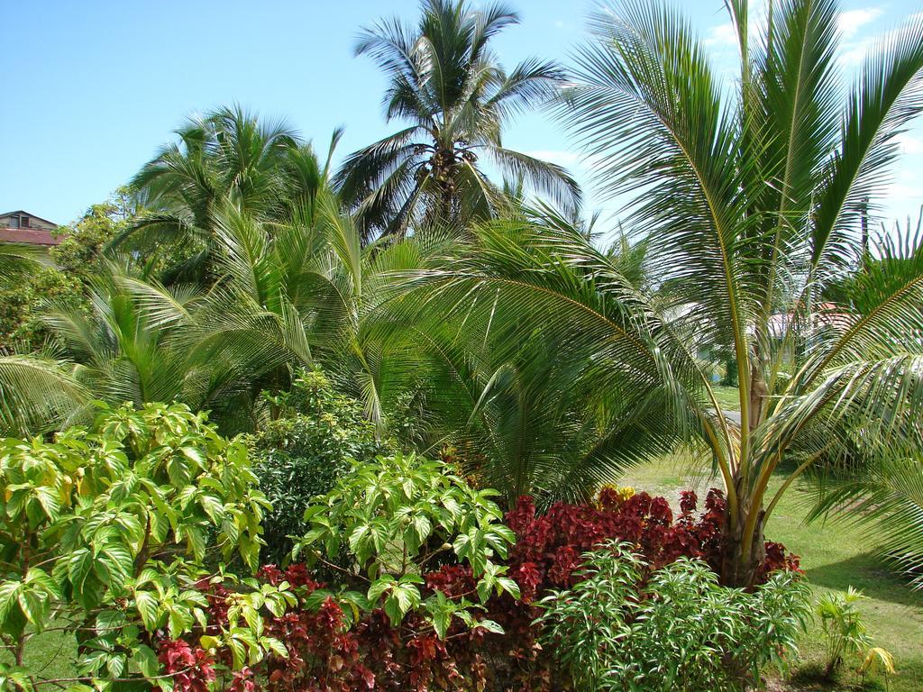 Babilonia Aparthotel Cahuita Cameră foto